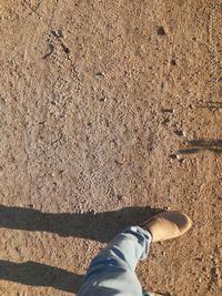 Low section of man standing on ground