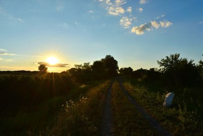 Scenic view of field against sky during sunset