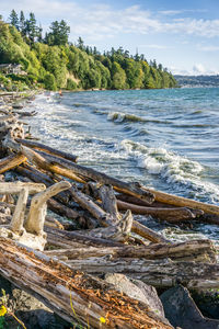 Whitewater flies up as wave hit shore on the puget sound.