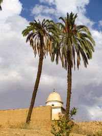 Low angle view of palm tree against sky