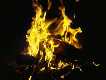 Close-up of bonfire at night