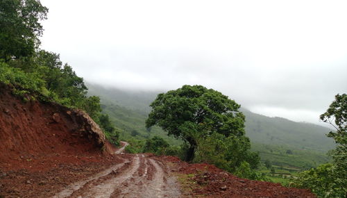 Dirt road leading towards mountain