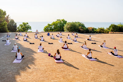 Back view of unrecognizable people in sport clothes sitting on mats and doing padmasana while practicing yoga in yard in summer