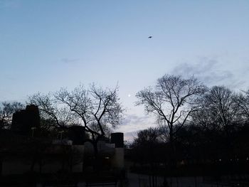 Silhouette of trees against sky