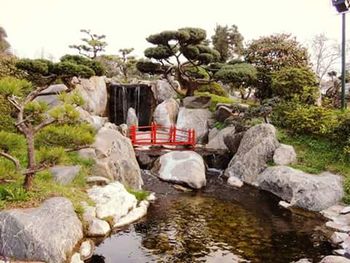 Stream flowing through rocks