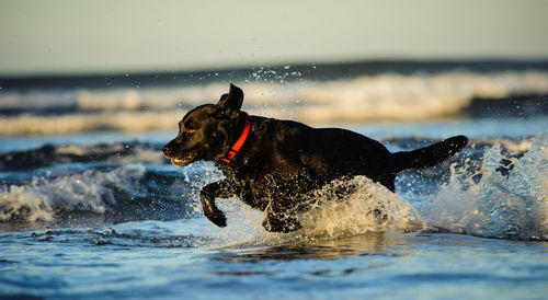 Close up of splashing water