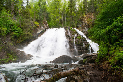 Scenic view of waterfall in forest