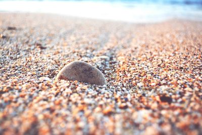 Surface level of pebbles on beach