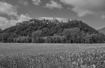 Scenic view of field against sky