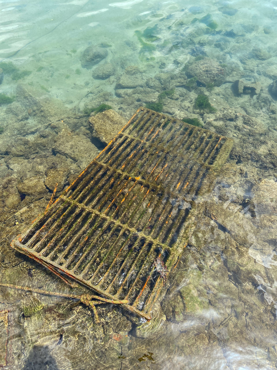 HIGH ANGLE VIEW OF AERIAL VIEW OF SEA FROM FISH