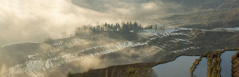 Yuanyang rice terrace, yunnan, china