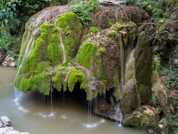Scenic view of waterfall