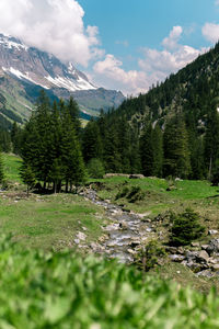 Scenic view of green landscape and mountains against sky