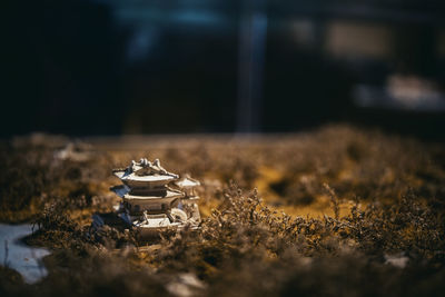 High angle view of old machinery on field