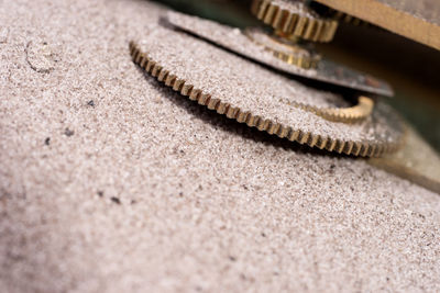 Close-up of shell on sand