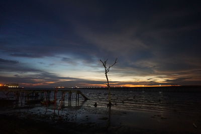 Silhouette wooden posts on beach against sky during sunset