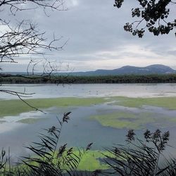 Scenic view of lake against cloudy sky