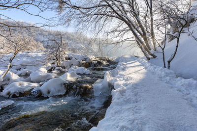 Frozen river against bare trees during winter