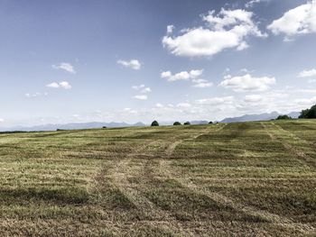 Scenic view of field against sky