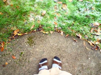 Low section of person standing on ground