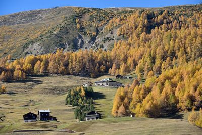 Scenic view of landscape against mountain