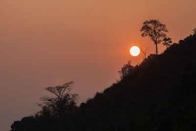 Low angle view of silhouette trees against sky during sunset