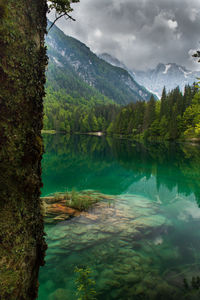 Scenic view of lake by trees against sky