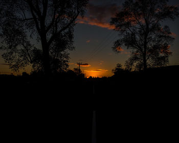 Silhouette of trees at sunset