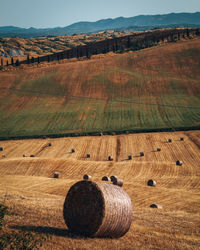 Hay bales on field