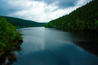 Scenic view of lake in forest against sky