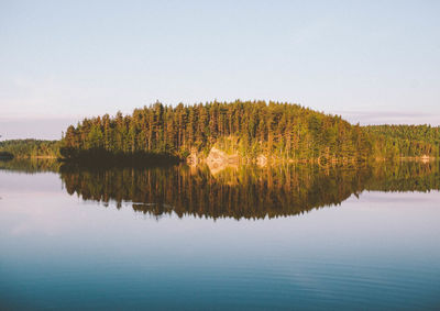 Reflection of trees in calm lake