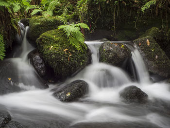 View of waterfall in forest