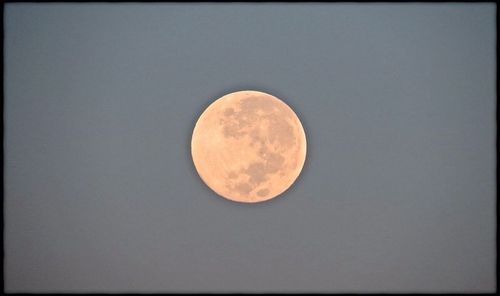 Low angle view of moon in sky