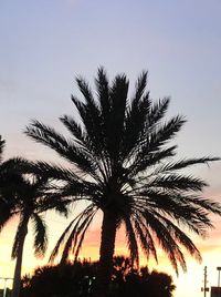 Silhouette palm trees against sky during sunset