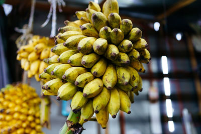 Bananas on the market in sri lanka, asia