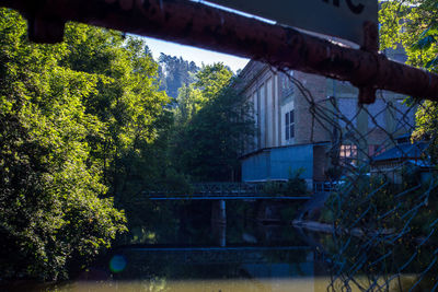 Trees and plants seen through window of house