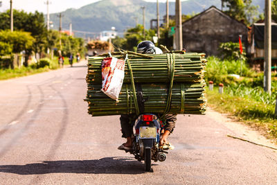 People carrying bamboos on motorcycle at street