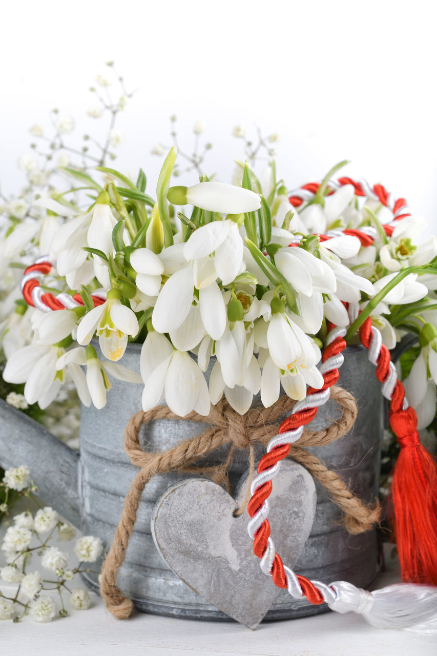 CLOSE-UP OF WHITE FLOWER BOUQUET ON PLANT