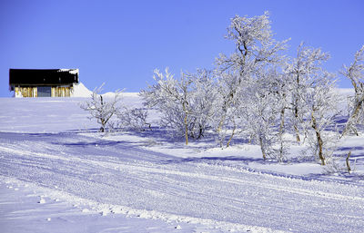 Snow covered landscape against clear blue sky