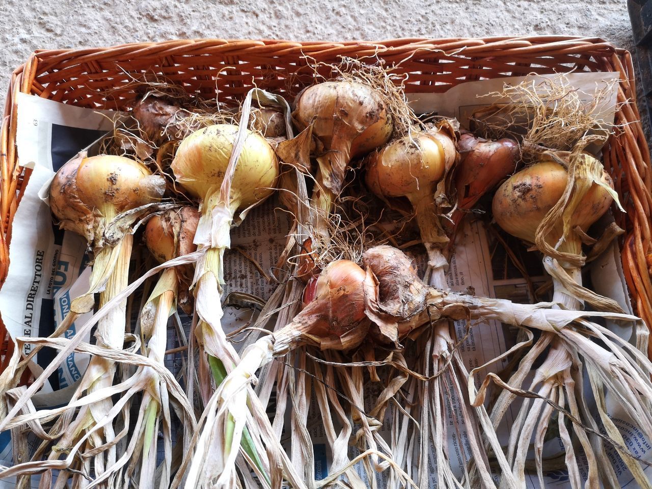 HIGH ANGLE VIEW OF DRIED EGGS IN BASKET