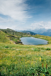 nature