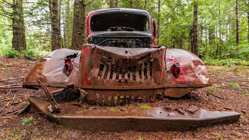 An old firetruck rusts in the forest.