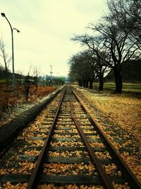 Railroad tracks