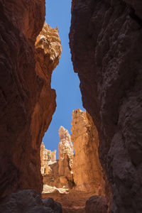 View skyward from canyon in bryce national park