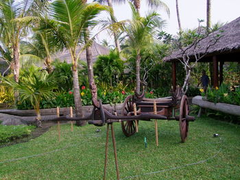 View of swing ride in park