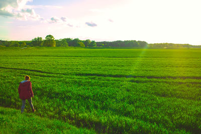 Rear view of man looking at field