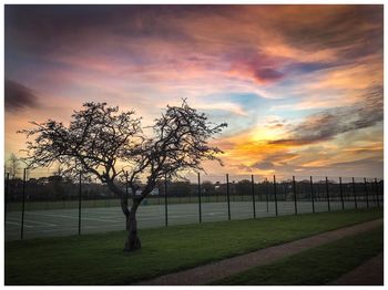 Bare trees on landscape against sky at sunset