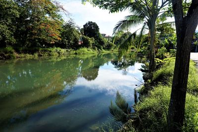 Scenic view of lake in forest against sky