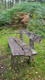 Empty bench in park