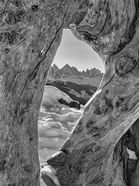 The view above a wooden tree trunk in direction of the italian dolomites